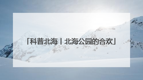科普北海丨北海公园的合欢
