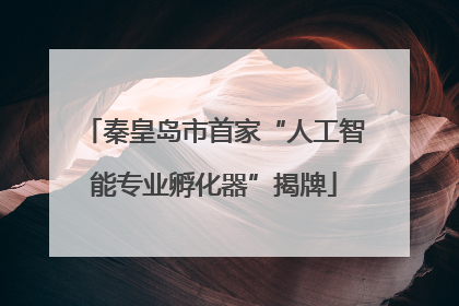 秦皇岛市首家“人工智能专业孵化器”揭牌