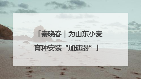 秦晓春｜为山东小麦育种安装“加速器”
