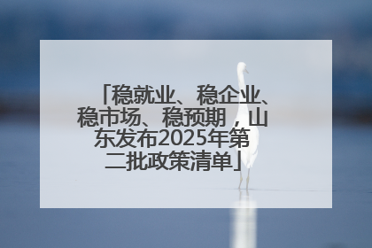 稳就业、稳企业、稳市场、稳预期，山东发布2025年第二批政策清单