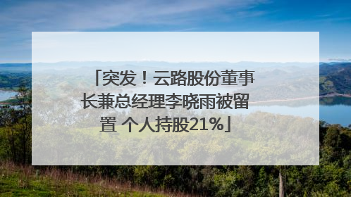 突发！云路股份董事长兼总经理李晓雨被留置 个人持股21%