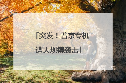 突发！普京专机遭大规模袭击