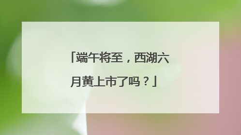 端午将至，西湖六月黄上市了吗？