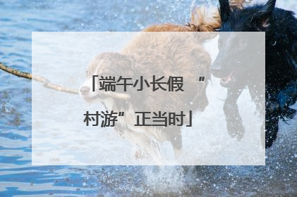 端午小长假 “村游”正当时