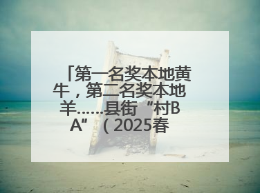 第一名奖本地黄牛，第二名奖本地羊……县街“村BA”（2025春季赛）圆满完赛