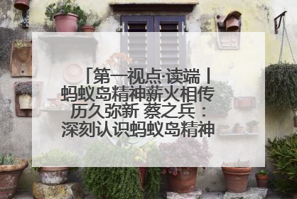 第一视点·读端丨蚂蚁岛精神薪火相传历久弥新 蔡之兵：深刻认识蚂蚁岛精神的“精气神”