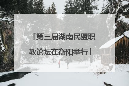 第三届湖南民盟职教论坛在衡阳举行