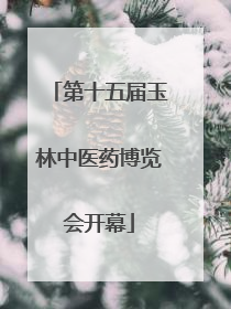 第十五届玉林中医药博览会开幕