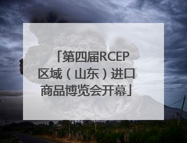 第四届RCEP区域（山东）进口商品博览会开幕