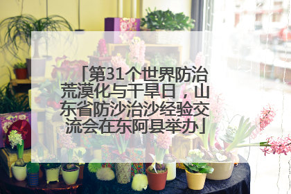 第31个世界防治荒漠化与干旱日，山东省防沙治沙经验交流会在东阿县举办