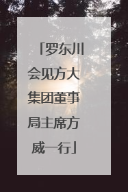 罗东川会见方大集团董事局主席方威一行