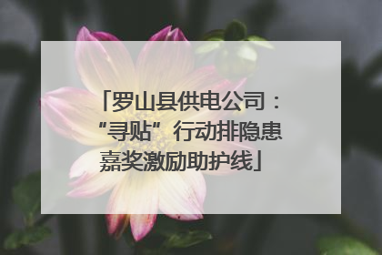 罗山县供电公司：“寻贴”行动排隐患 嘉奖激励助护线