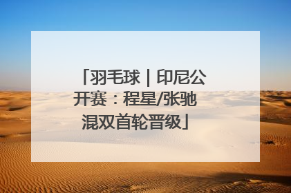 羽毛球｜印尼公开赛：程星/张驰混双首轮晋级