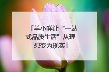 羊小咩让“一站式品质生活”从理想变为现实