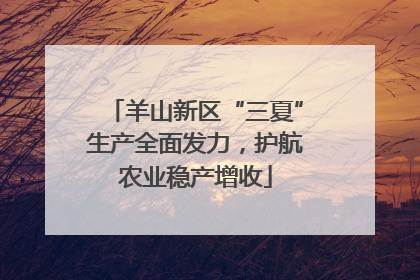 羊山新区“三夏”生产全面发力，护航农业稳产增收