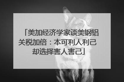 美加经济学家谈美钢铝关税加倍：本可利人利己 却选择害人害己
