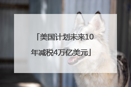 美国计划未来10年减税4万亿美元