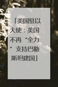 美国驻以大使：美国不再“全力”支持巴勒斯坦建国