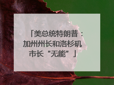 美总统特朗普：加州州长和洛杉矶市长“无能”