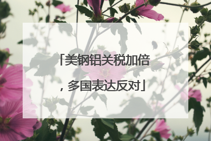 美钢铝关税加倍，多国表达反对