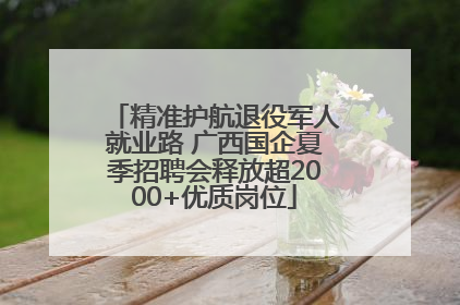 精准护航退役军人就业路 广西国企夏季招聘会释放超2000+优质岗位
