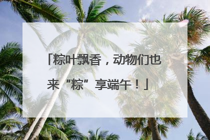 粽叶飘香，动物们也来“粽”享端午！