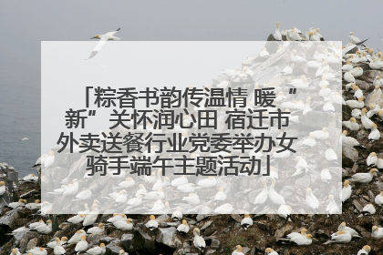 粽香书韵传温情 暖“新”关怀润心田 宿迁市外卖送餐行业党委举办女骑手端午主题活动