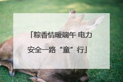 粽香情暖端午 电力安全一路“童”行