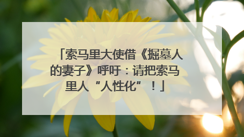 索马里大使借《掘墓人的妻子》呼吁：请把索马里人“人性化”！