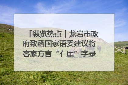 纵览热点｜龙岩市政府致函国家语委建议将客家方言“亻厓”字录入《新华字典》引发热议，当地回应