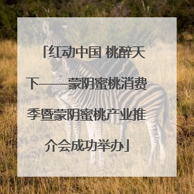 红动中国 桃醉天下——蒙阴蜜桃消费季暨蒙阴蜜桃产业推介会成功举办