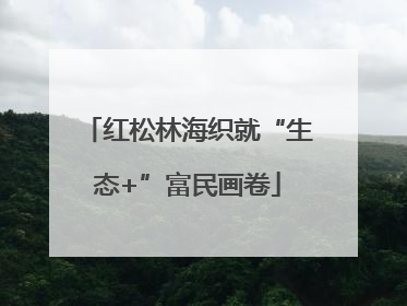 红松林海织就“生态+”富民画卷