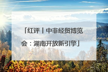 红评丨中非经贸博览会：湖南开放新引擎