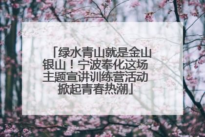 绿水青山就是金山银山！宁波奉化这场主题宣讲训练营活动掀起青春热潮
