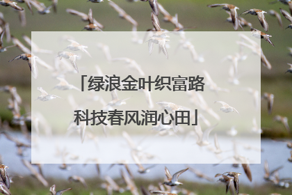 绿浪金叶织富路 科技春风润心田