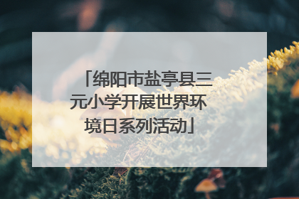 绵阳市盐亭县三元小学开展世界环境日系列活动