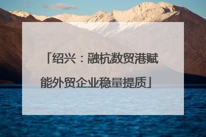 绍兴：融杭数贸港赋能外贸企业稳量提质