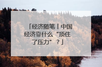 经济随笔丨中国经济靠什么“顶住了压力”？