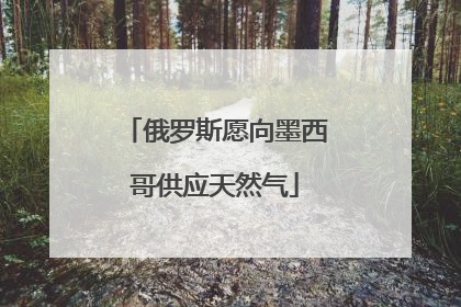 俄罗斯愿向墨西哥供应天然气