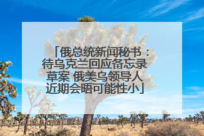 俄总统新闻秘书：待乌克兰回应备忘录草案 俄美乌领导人近期会晤可能性小