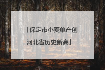 保定市小麦单产创河北省历史新高