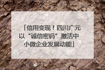 信用变现！四川广元以“诚信密码”激活中小微企业发展动能