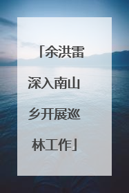 余洪雷深入南山乡开展巡林工作