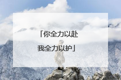 你全力以赴 我全力以护