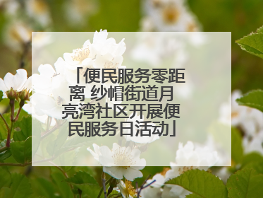 便民服务零距离 纱帽街道月亮湾社区开展便民服务日活动