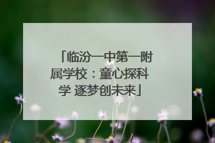 临汾一中第一附属学校：童心探科学 逐梦创未来