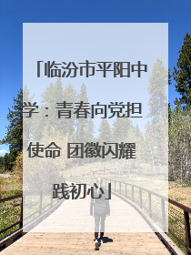 临汾市平阳中学：青春向党担使命 团徽闪耀践初心