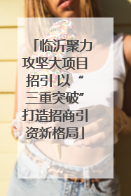 临沂聚力攻坚大项目招引 以“三重突破”打造招商引资新格局