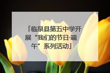 临泉县第五中学开展“我们的节日·端午”系列活动