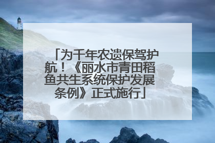 为千年农遗保驾护航！《丽水市青田稻鱼共生系统保护发展条例》正式施行